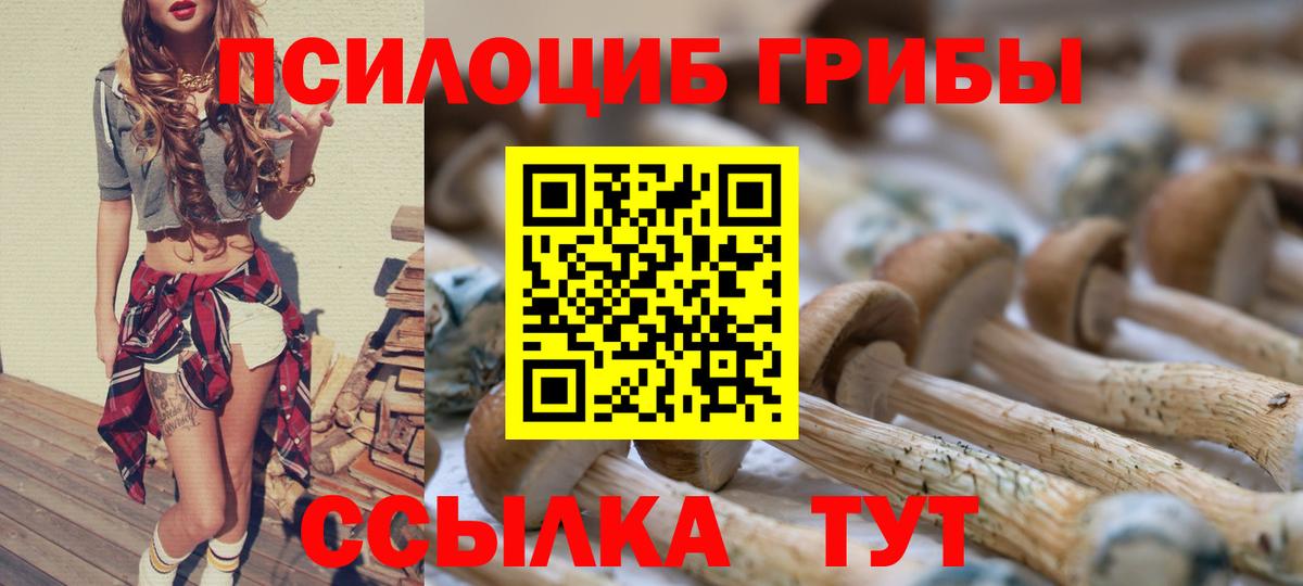 Псилоцибиновые грибы Psilocybine cubensis  Вход с VPN  где купить наркоту  Калуга 